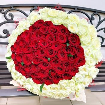 Букет 101 красно-белая роза Артикул: 175740