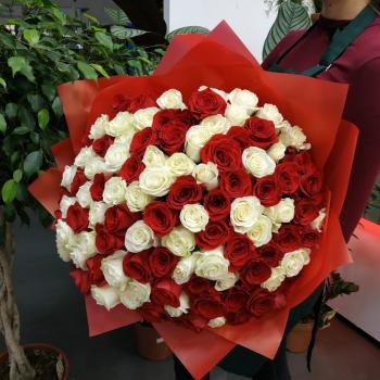 Букет Букет из 101 розы (красные и белые розы) код товара  102540