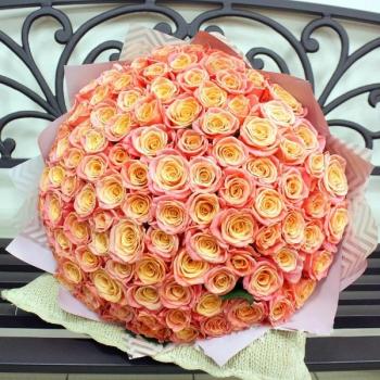 Букет Оранжевые розы Эквадор 101 шт (50 см) articul: 179160