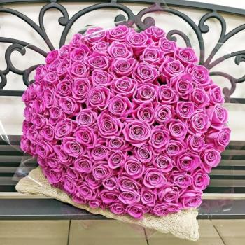 Букет Розовые розы Эквадор 101 шт (50 см) [код товара: 179040]